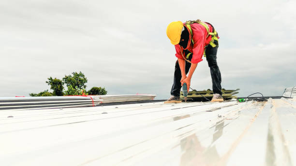 Best Sheet Metal Roofing  in Spackenkill, NY