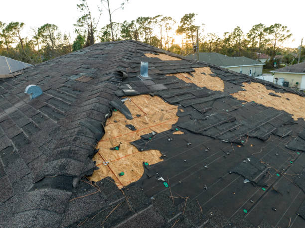 Best Roof Coating and Sealing  in Spackenkill, NY