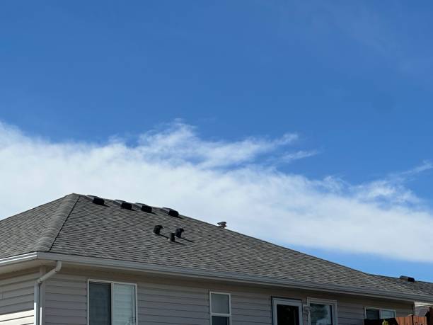 Best Roof Insulation Installation  in Spackenkill, NY